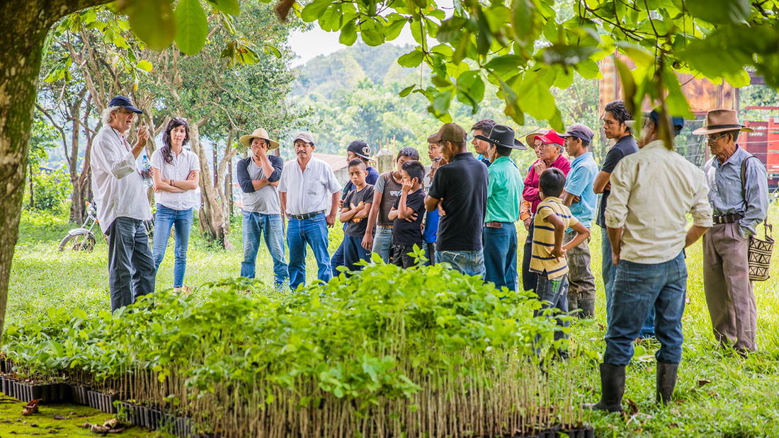 Greener Together: SmartLifeco’s Partnership with OneTreePlanted